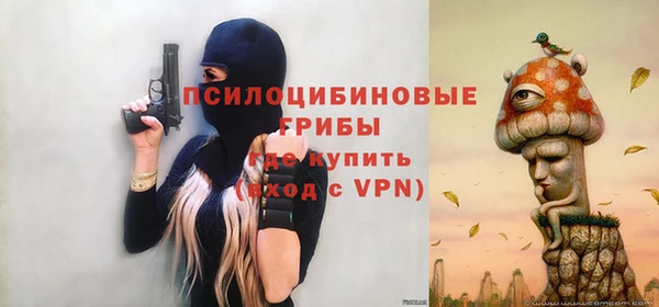 ПСИЛОЦИБИНОВЫЕ ГРИБЫ Алзамай