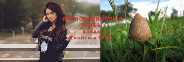 ПСИЛОЦИБИНОВЫЕ ГРИБЫ Алзамай