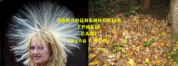 винт Алексеевка