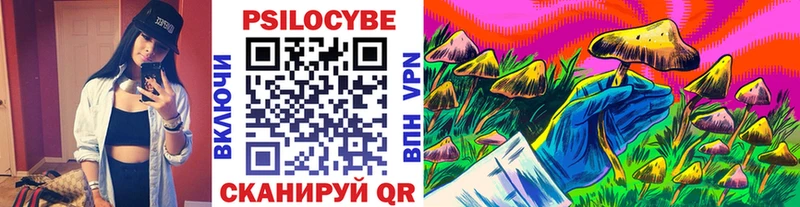 как найти   Холм  Псилоцибиновые грибы Psilocybe 